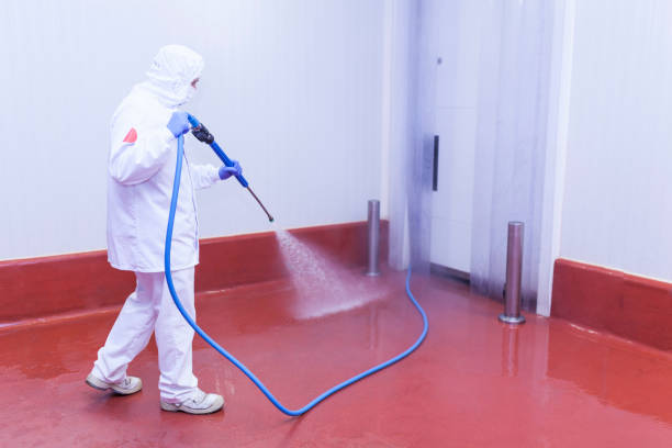 Best Solar Panel Cleaning  in Harlem, FL